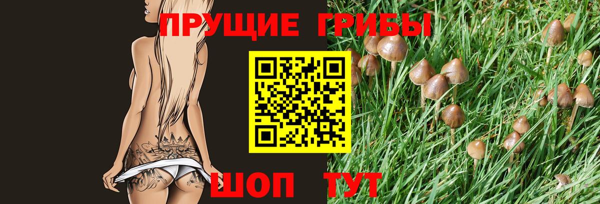 Грозный  Галлюциногенные грибы MAGIC MUSHROOMS  Псилоцибиновые грибы Cubensis  Вход с VPN 